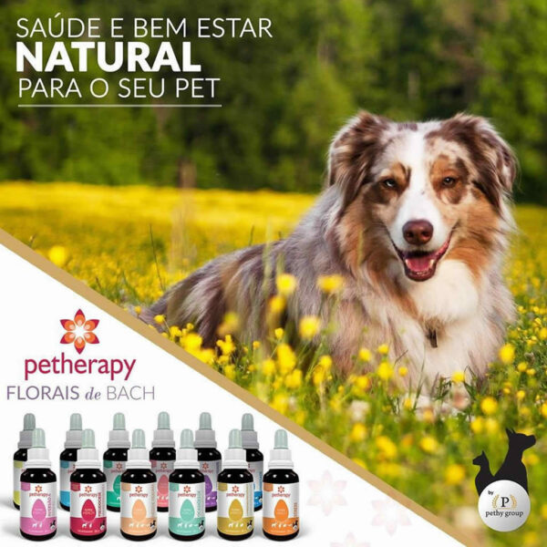 Floral de Bach Marcação de Território Petherapy - 30ml - Image 2