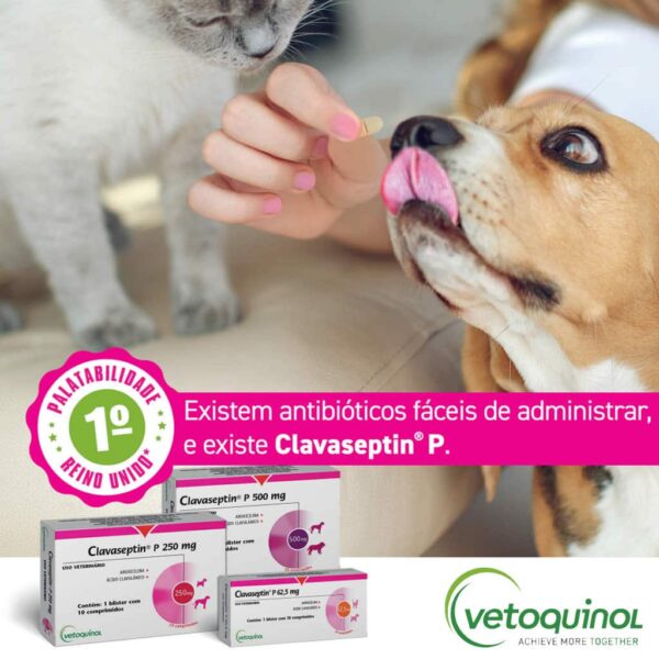 Antibiótico Clavaseptin P 500mg para Cães Vetoquinol - 10 comprimidos - Image 2