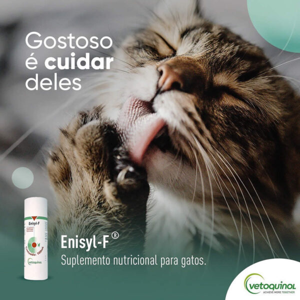 Suplemento Nutricional Enisyl-F Vetoquinol para Gatos - 100ml (Validade do Produto: 30/09/2024) - Image 2